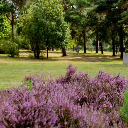 Naturcamping Lueneburger Heide - & Tiny Haeuser Campeggio *