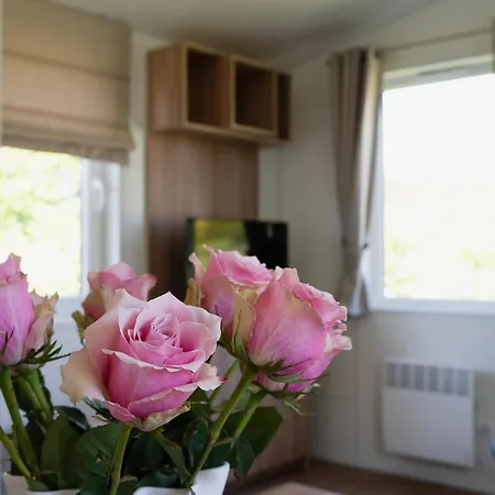 Camping Naturcamping Lueneburger Heide - & Tiny Haeuser *